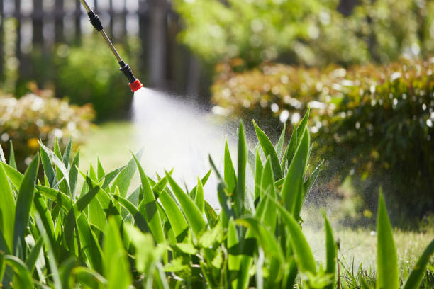 24/7 Emergency Cockroach Control experts in Glasgow, OR