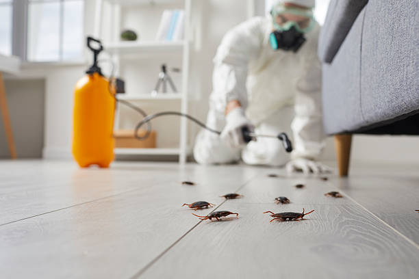 Affordable Cockroach Control solutions in Glasgow, OR