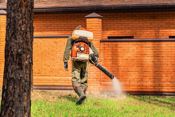 Top rated local Cockroach Control specialists in Glasgow, OR